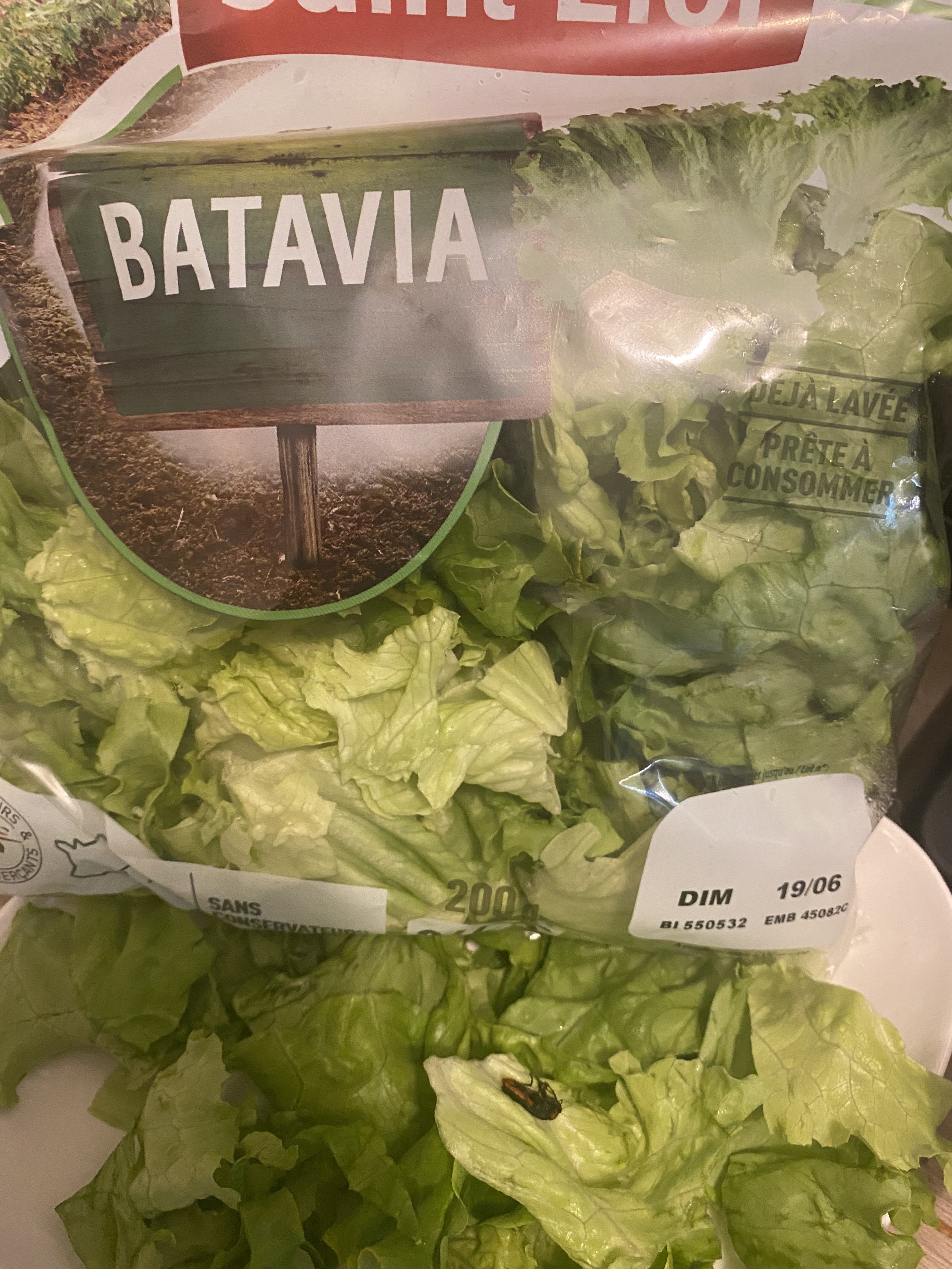 Photo n° 2 de l'avis de Rania.a fait le 14/06/2022 à 17:16