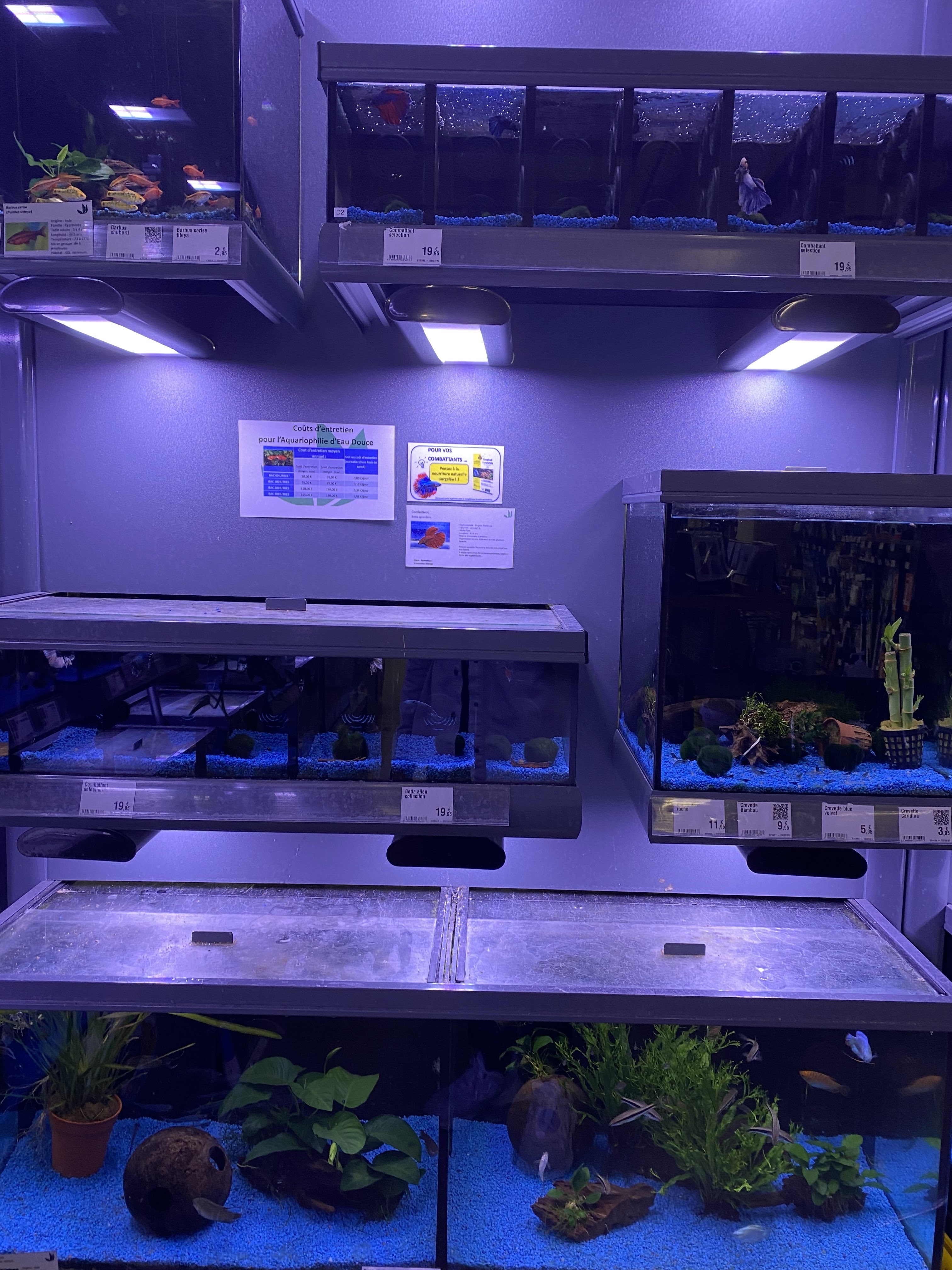 Photo n° 5 de l'avis de fight.i fait le 02/06/2021 à 13:57
