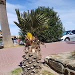 Photo n° 1 de l'avis de Alain.E fait le 04/04/2019 à 06:34 pour Port de Banyuls à Banyuls-sur-Mer