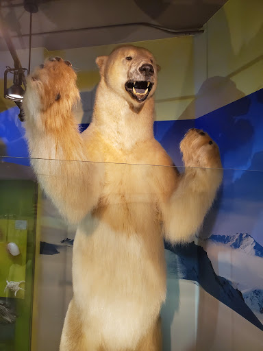 Science Museum «Kentucky Science Center», reviews and photos, 727 W Main St, Louisville, KY 40202, USA