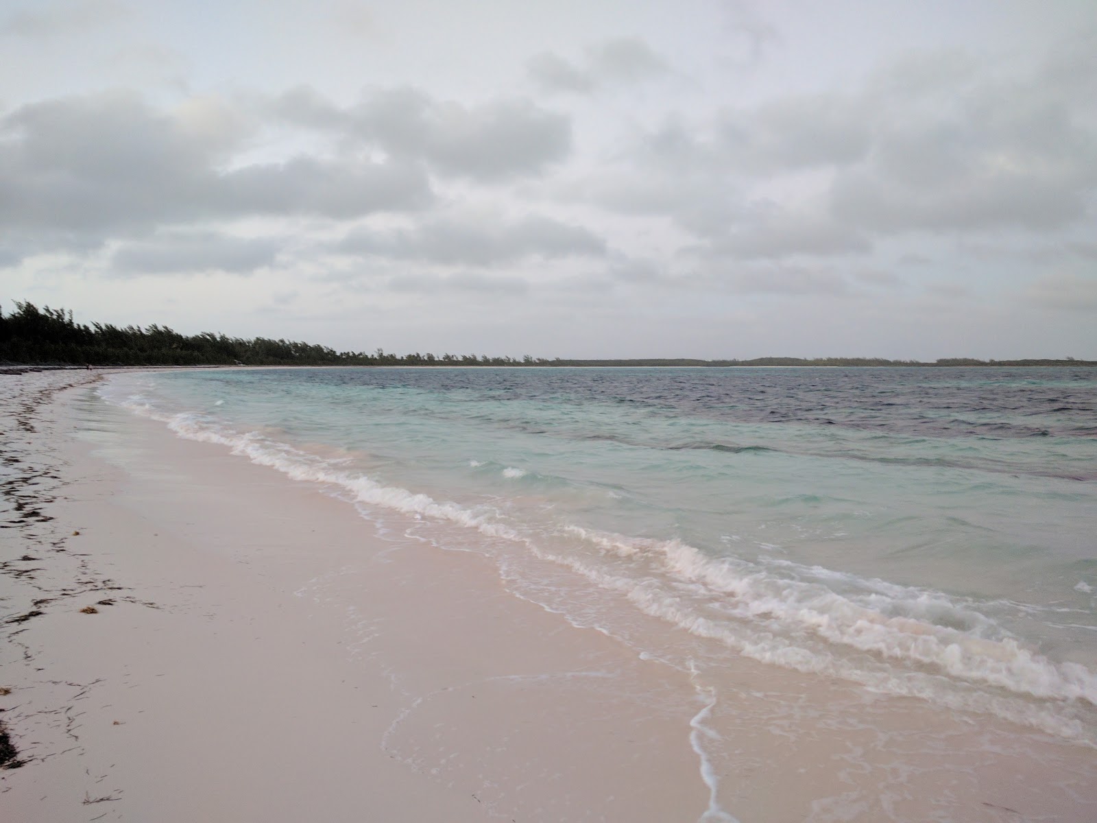 Winding Bay beach'in fotoğrafı ve yerleşim