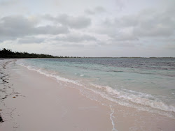 Winding Bay beach'in fotoğrafı ve yerleşim