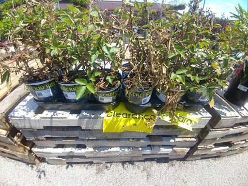 Department Store «Rural King», reviews and photos, 801 Cr-1510-10, Owensboro, KY 42303, USA