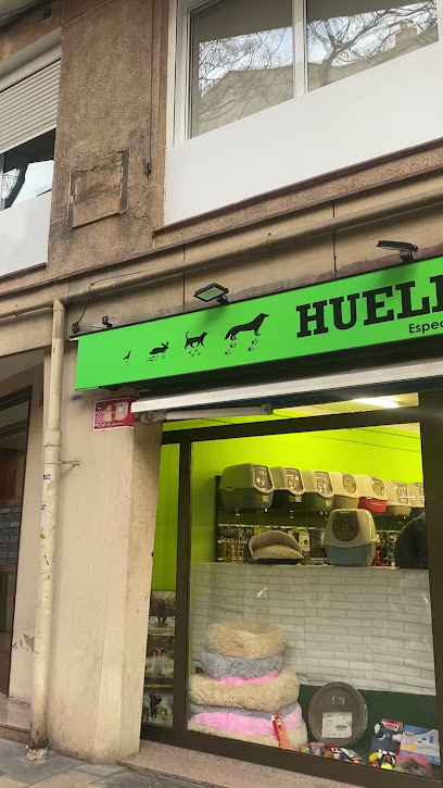Huella Urbana - Servicios para mascota en Barcelona