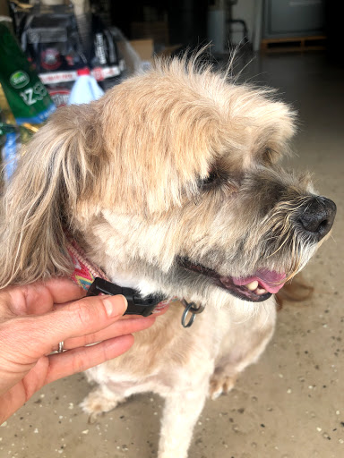 Bowling Alley «Heritage Lanes», reviews and photos, 1301 W Lincoln Rd, Kokomo, IN 46902, USA