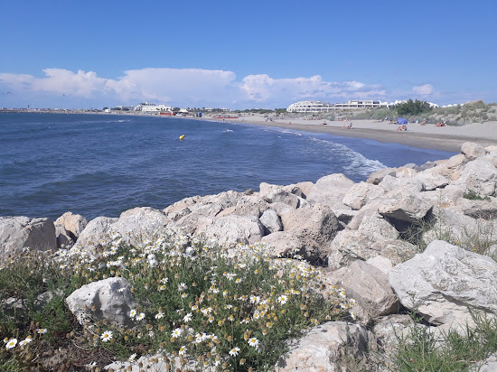 Port Camargue beach