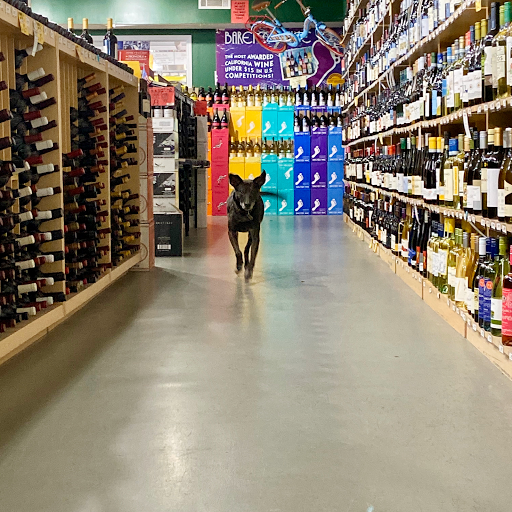 Liquor Store «Five Points Bottle Shop», reviews and photos, 3685 Atlanta Hwy, Athens, GA 30606, USA