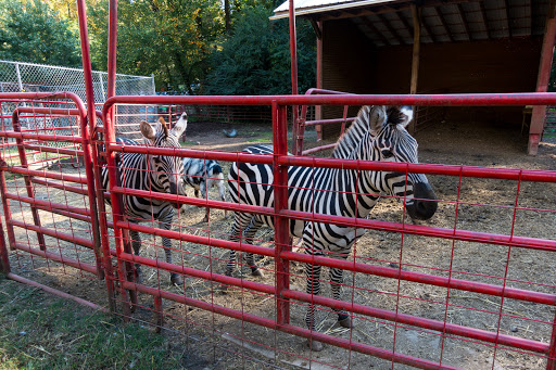 Zoo «Wildlife Wonders», reviews and photos, 2754 Paradise Valley Rd, Cleveland, GA 30528, USA