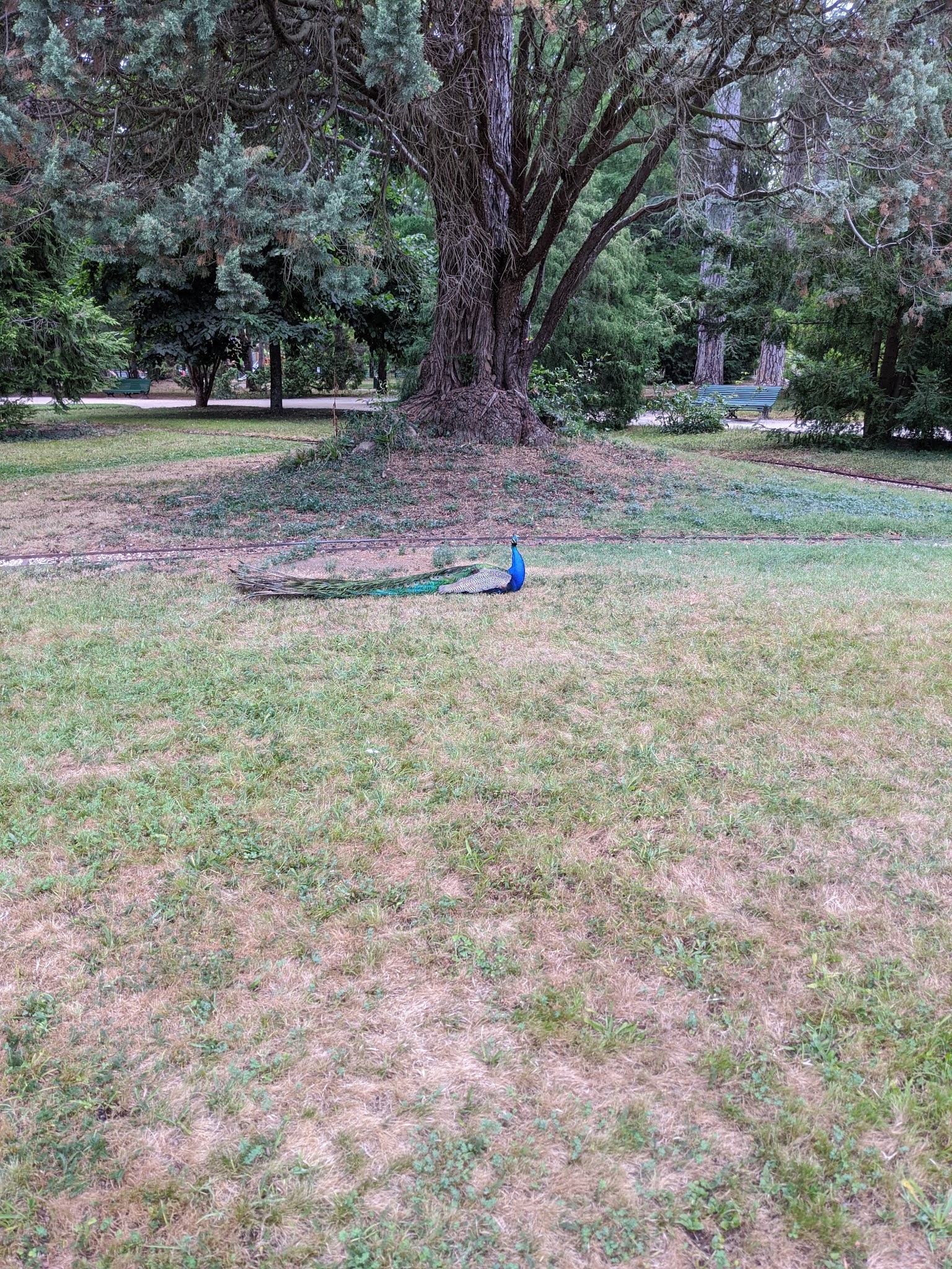 Photo n° 4 de l'avis de BNB.� fait le 19/08/2020 à 08:11