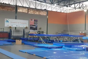 Ginastica de Trampolim image