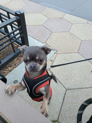 Park «Travers Park», reviews and photos, 76-9 34th Ave, Jackson Heights, NY 11372, USA