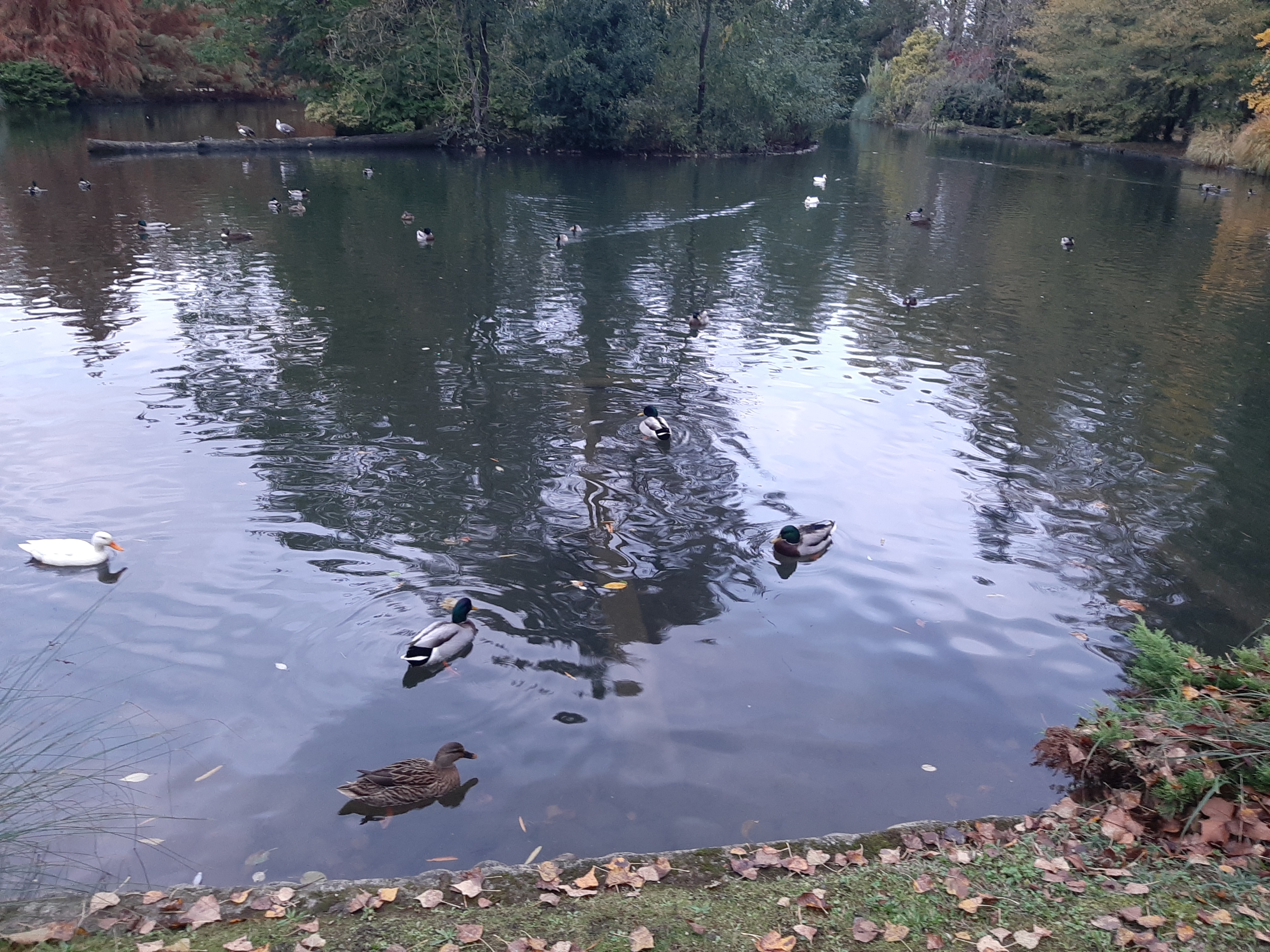 Photo n° 9 de l'avis de Nicole.r fait le 18/11/2019 à 17:46