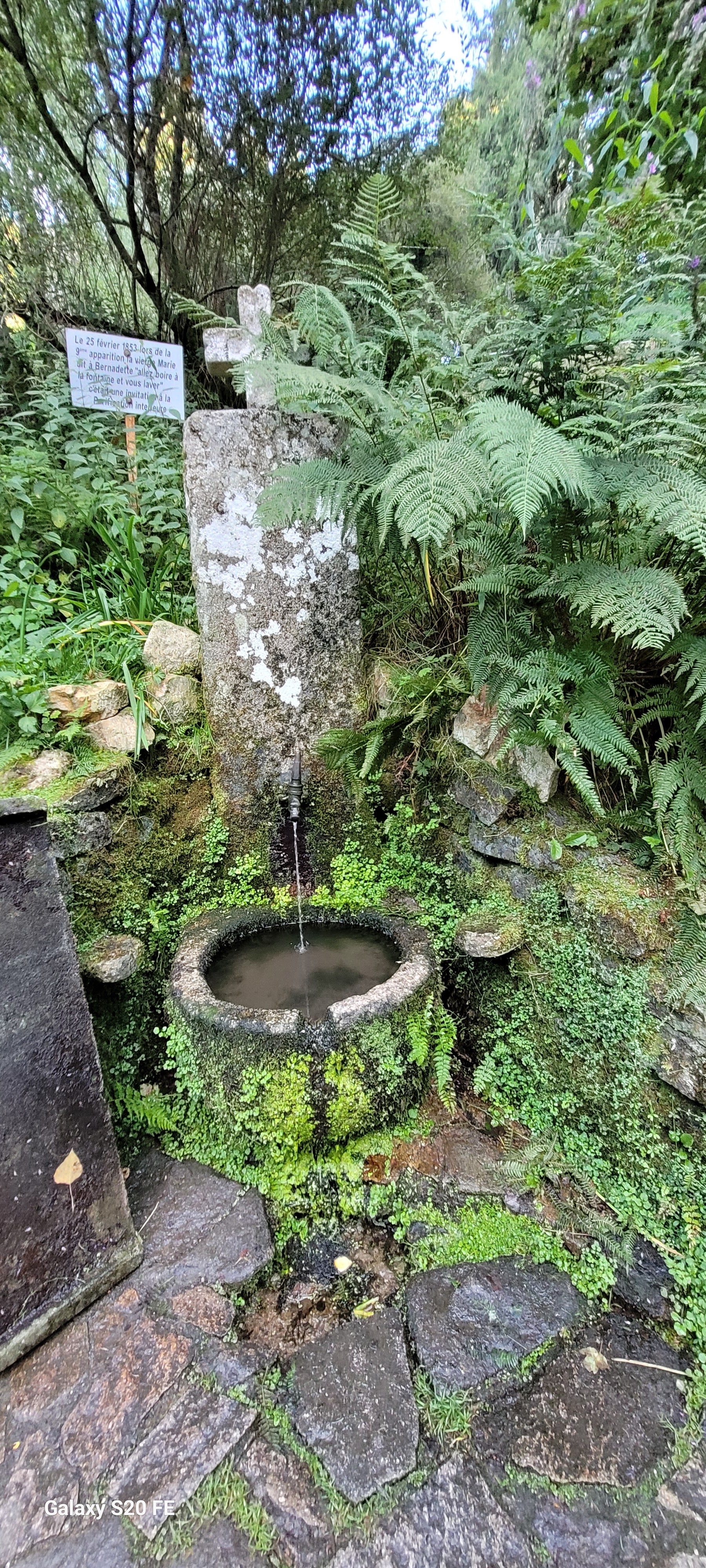 Photo n° 13 de l'avis de Christian.a fait le 19/08/2023 à 22:37