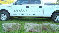 DPS Wildlife Animal Removal - Photo 2 - Car repair in , Port St. Lucie