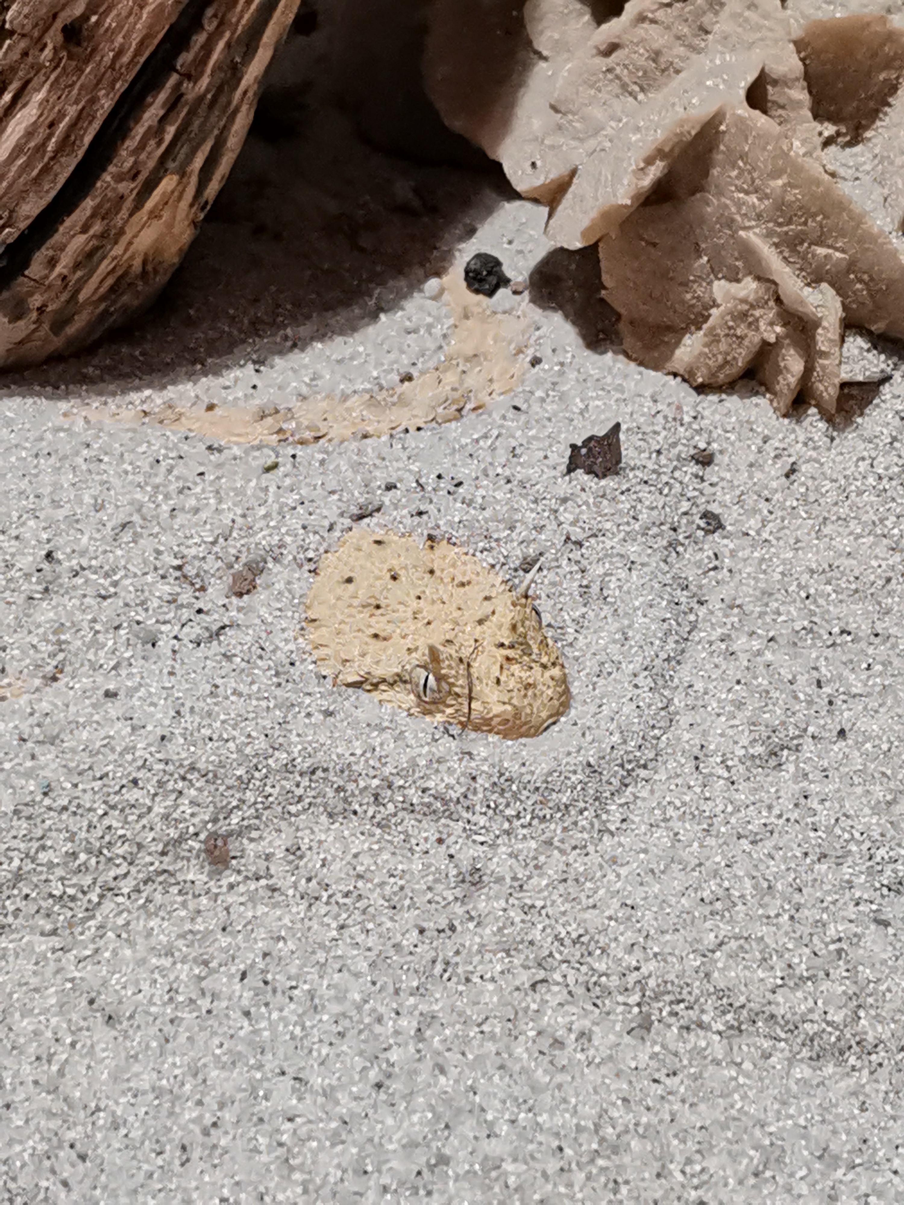 Photo n° 5 de l'avis de Jerome.a fait le 23/10/2021 à 18:04