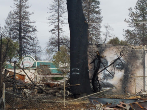 Pet Supply Store «Skyway Feed & Pet Supply Inc», reviews and photos, 677 Birch St, Paradise, CA 95969, USA