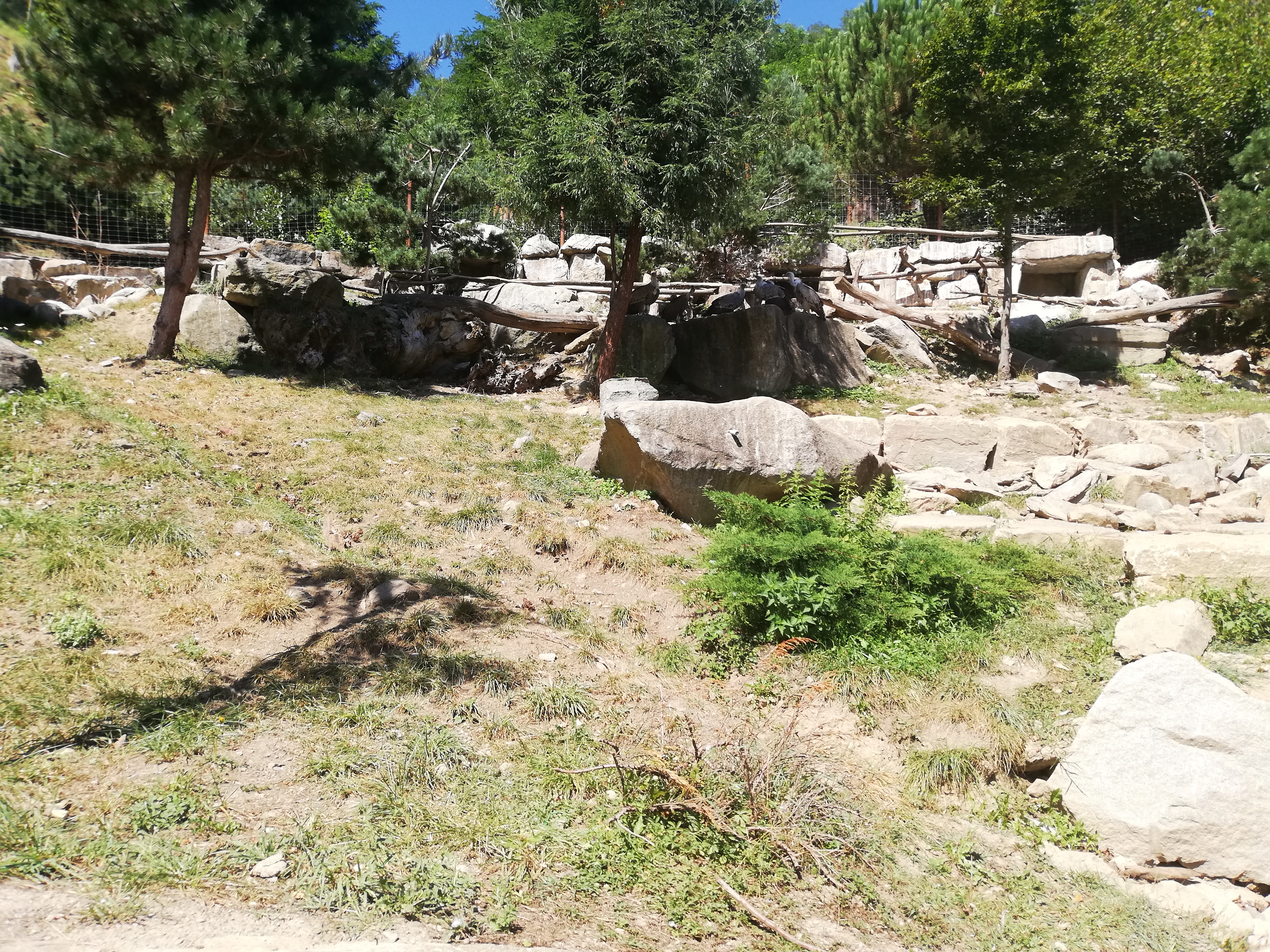 Photo n° 46 de l'avis de Soleil. fait le 20/08/2020 à 12:36