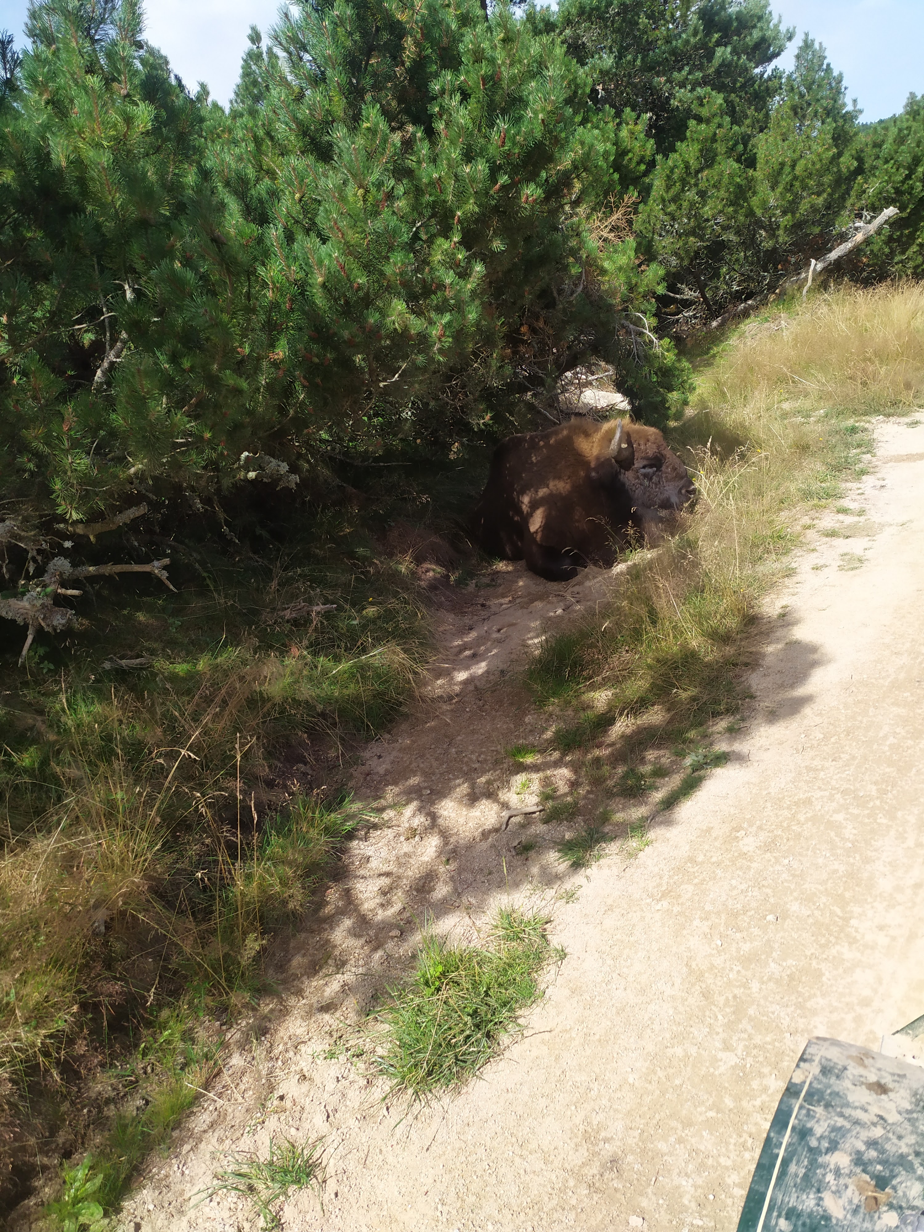 Photo n° 4 de l'avis de Angel.� fait le 19/08/2023 à 17:20