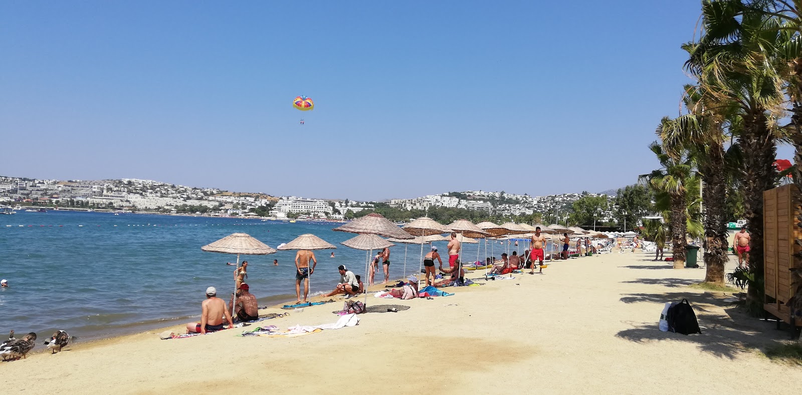 Fotografie cu Belediye beach cu golful spațios