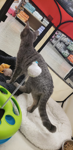 Pet Supply Store «Petco Animal Supplies», reviews and photos, 28400 Dequindre Rd, Warren, MI 48092, USA