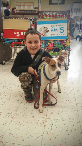 Pet Supply Store «Petco Animal Supplies», reviews and photos, 475 S Wadsworth Blvd, Lakewood, CO 80226, USA