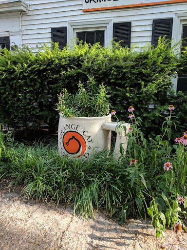 Coffee Shop «Orange Cat Coffee Co», reviews and photos, 703 Center St, Lewiston, NY 14092, USA