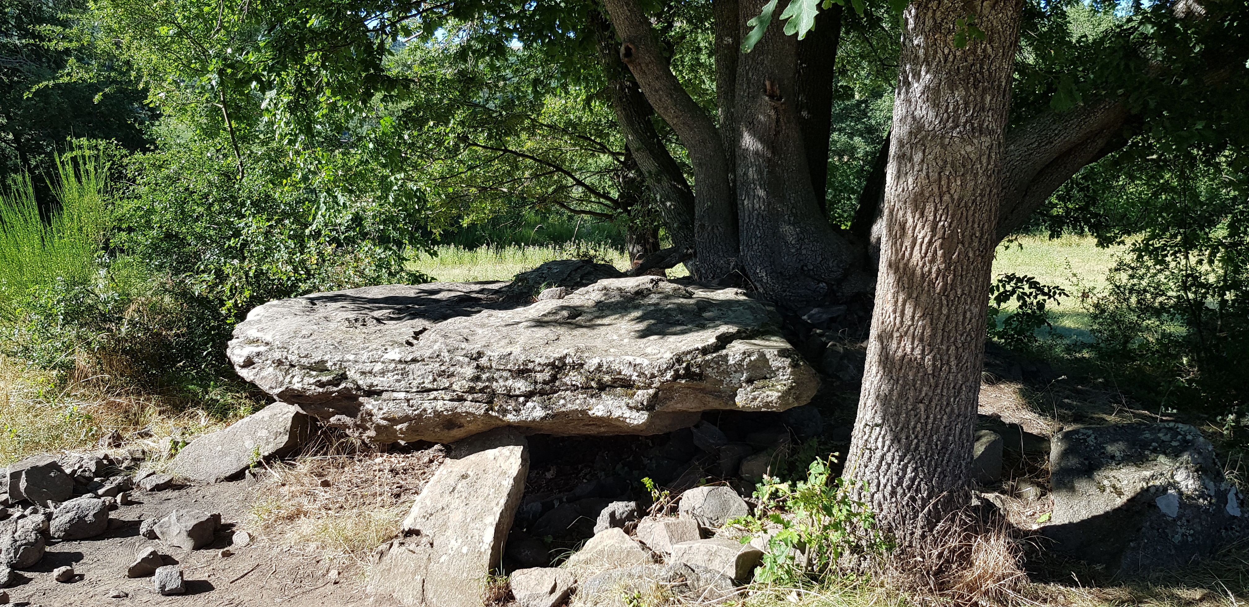 Photo n° 4 de l'avis de Eric.i fait le 30/07/2020 à 17:23