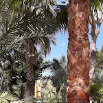 Photo n°2 de l'avis de Frank.h fait le 30/05/2018 à 08:15 sur le  VILLA MARRONE - Relais - à Marsala