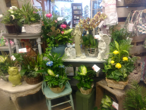 Florist «Chesterland Floral», reviews and photos, 12650 W Geauga Plaza, Chesterland, OH 44026, USA