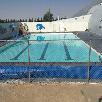 Foremost Swimming Pool