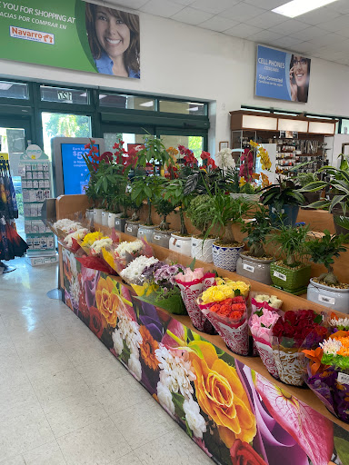 Pharmacy «Navarro Discount Pharmacy», reviews and photos, 11402 NW 41st St, Doral, FL 33178, USA