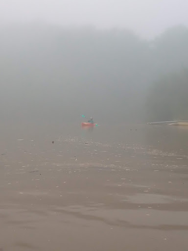 Hiking Area «Gold Branch Trail», reviews and photos, 6156 Lower Roswell Rd, Marietta, GA 30068, USA