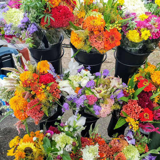 Produce Market «Douglass Loop Farmers Market», reviews and photos, 2005 Douglass Blvd, Louisville, KY 40205, USA