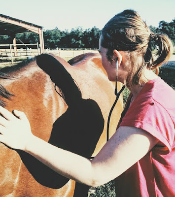Ma'Veto - Docteure Marion Boidot - Vétérinaire Equin à Bergerac