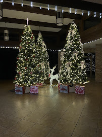 Anderson Center for the Arts - Photo 8 - Car repair in Houston, TX, Pasadena