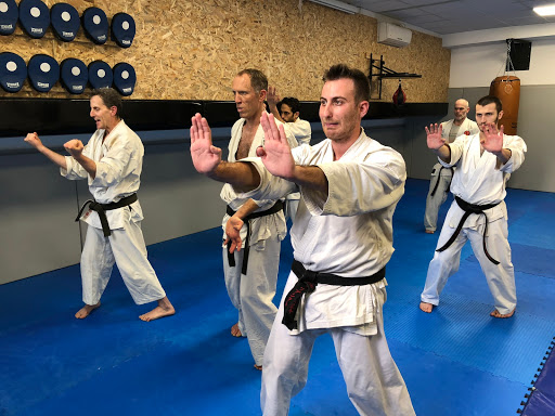 Dento Okinawa Goju Ryu Karate - TLV DOJO גוג׳ו ריו קראטה בתל אביב