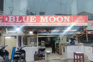 Sri Blue Moon Hotel image
