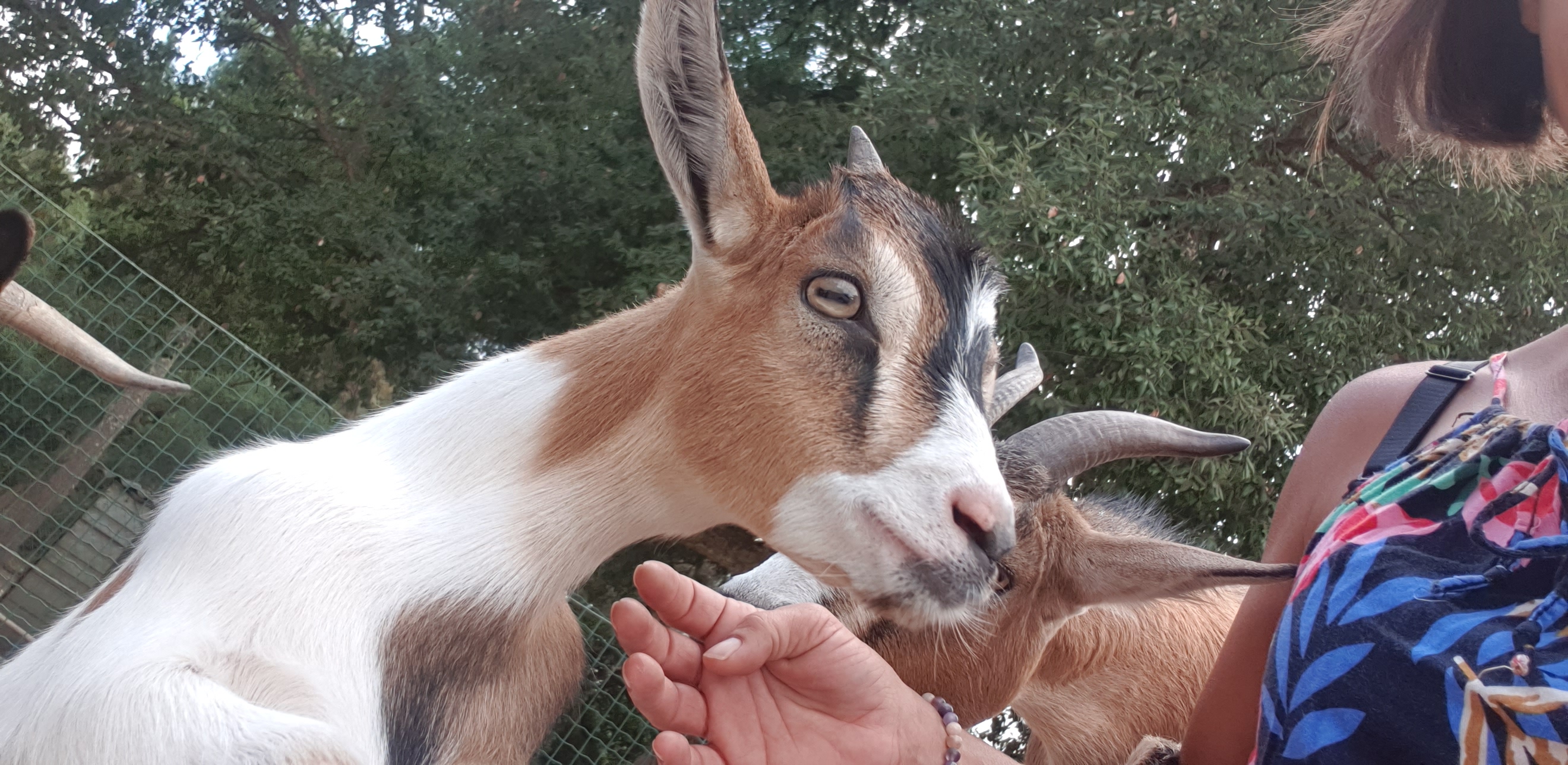 Photo n° 18 de l'avis de rébecca.a fait le 10/08/2022 à 12:17