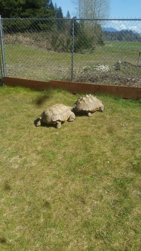 Zoo «Reptile Zoo», reviews and photos, 22715 US-2, Monroe, WA 98272, USA
