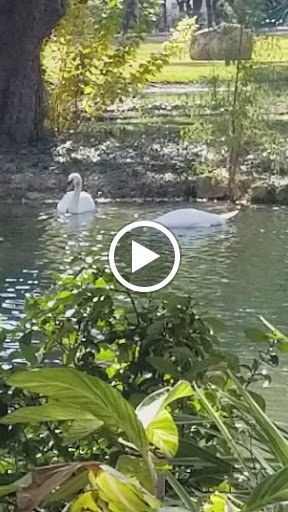 Country Club «Dominion Country Club», reviews and photos, 1 Dominion Dr, San Antonio, TX 78257, USA