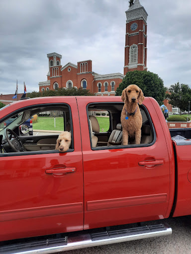 Quilt Shop «Tree City Stitches», reviews and photos, 125 E Main St, Greensburg, IN 47240, USA