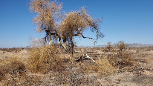 Nature Preserve «Cave Buttes Recreation Area», reviews and photos, N 7th St & E Happy Valley Rd, Phoenix, AZ 85024, USA