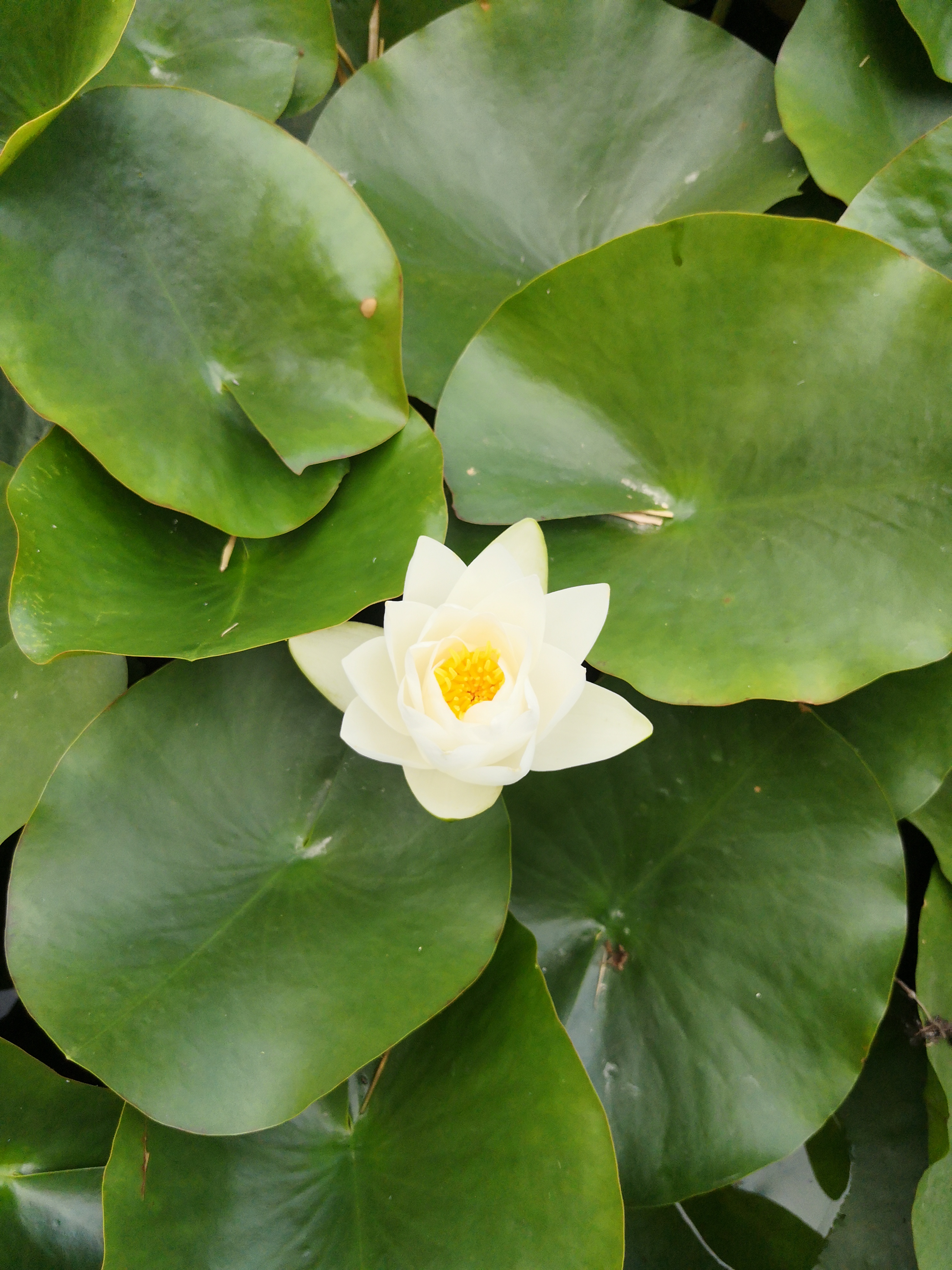 Photo n° 2 de l'avis de Mallory.e fait le 24/08/2020 à 06:08