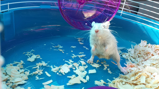 Pet Supply Store «Pet Supermarket», reviews and photos, 7822 Gall Blvd, Zephyrhills, FL 33541, USA