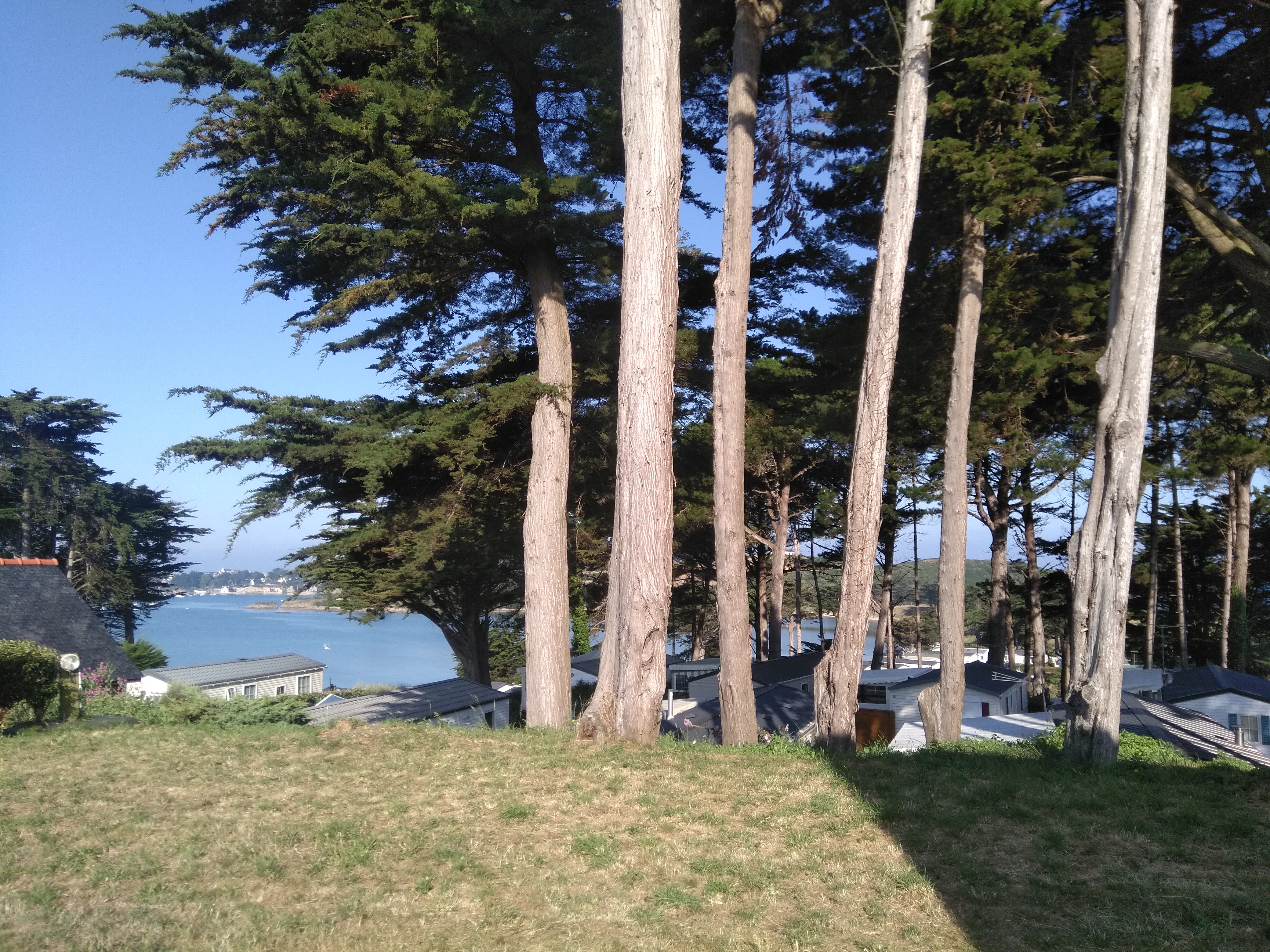 Photo n° 3 de l'avis de L. fait le 09/08/2018 à 13:17