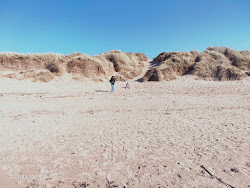 Seton Sands Beach'in fotoğrafı - rahatlamayı sevenler arasında popüler bir yer