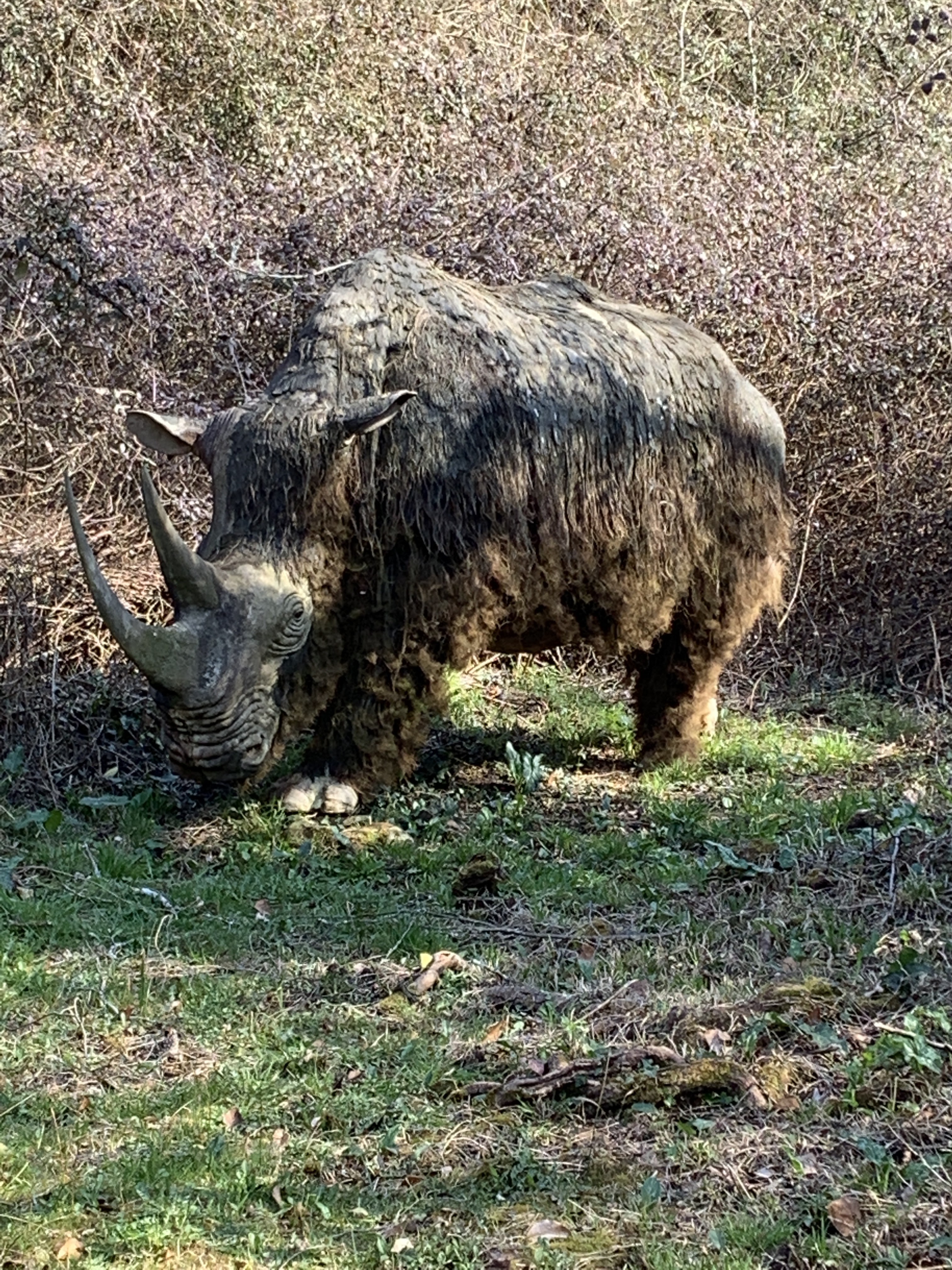Photo n° 5 de l'avis de Cel. fait le 23/03/2022 à 17:27