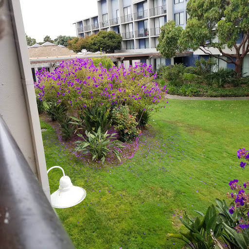 Hotel «DoubleTree by Hilton Hotel Berkeley Marina», reviews and photos, 200 Marina Blvd, Berkeley, CA 94710, USA