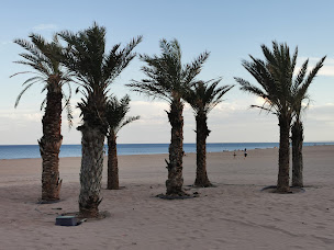 Photo n°93 de La terrasse de Sô à Narbonne ()