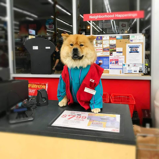 Hardware Store «Westlake Ace Hardware», reviews and photos, 721 W Broadway, Council Bluffs, IA 51501, USA